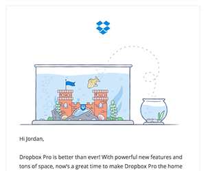 Dropbox email newsletter November 2014